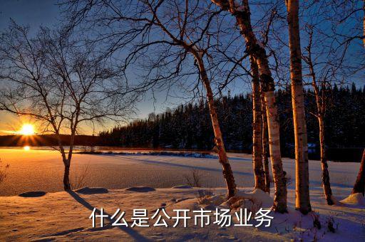 什么是公開市場，什么是公開市場
