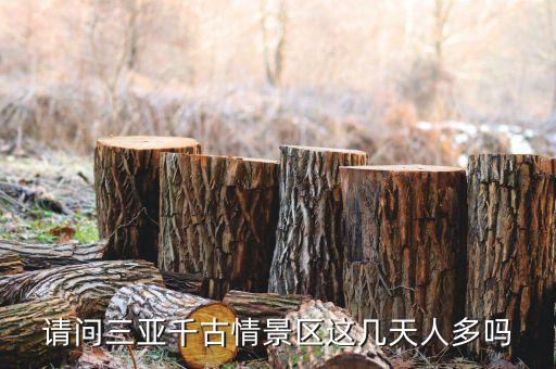 三亞千古情景區(qū)什么時候開園，三亞千古情開園時間是多少啊