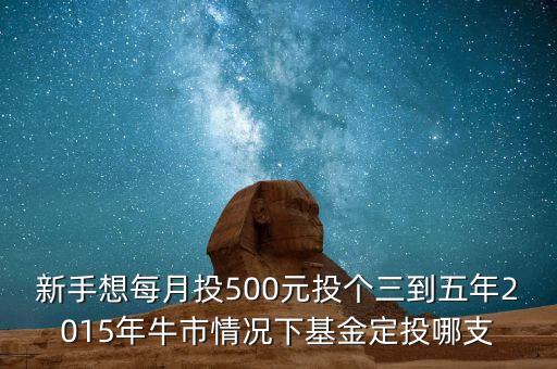 2015年新手買什么基金好，2015買什么基金比較好