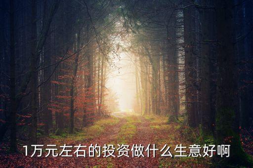 萬投資什么好，有10000元錢拿來做什么最好或者投資什么最好