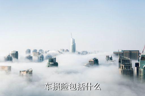 車損險(xiǎn)主要保什么，車損是保什么的