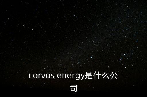 智慧松德是什么公司，corvus energy是什么公司