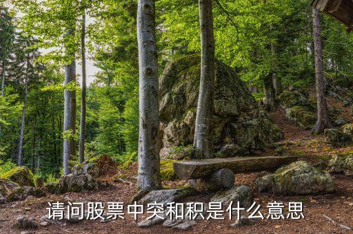 請(qǐng)問(wèn)股票中突和積是什么意思