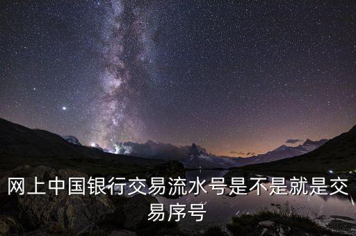 中國銀行企業(yè)網(wǎng)銀轉(zhuǎn)賬批次號(hào)什么意思，企業(yè)網(wǎng)銀客戶號(hào)是什么意思