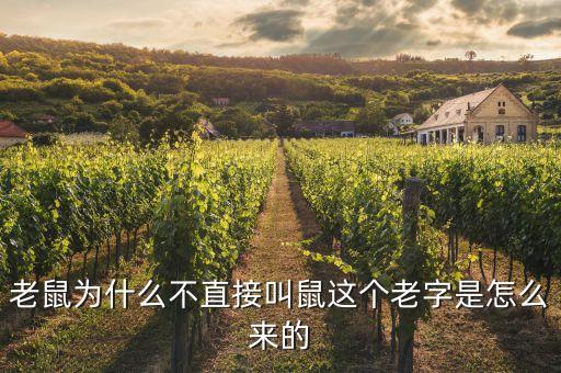 老鼠為什么不直接叫鼠這個(gè)老字是怎么來(lái)的