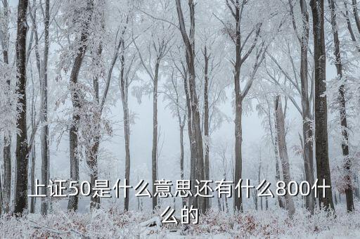 上證50什么意思，上證50是什么意思還有什么800什么的