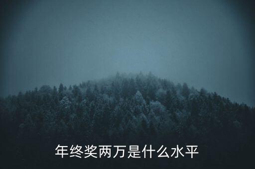 年終獎(jiǎng)10000什么水平，月薪1700年終獎(jiǎng)一萬(wàn)算什么水平