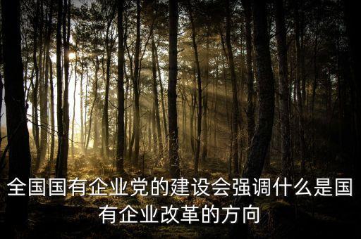 全國國有企業(yè)黨的建設會強調(diào)什么是國有企業(yè)改革的方向