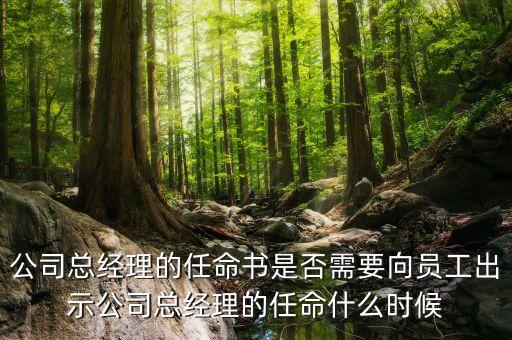 國企高管任免時(shí)間什么時(shí)候，國企的領(lǐng)導(dǎo)負(fù)責(zé)人是怎么任免的
