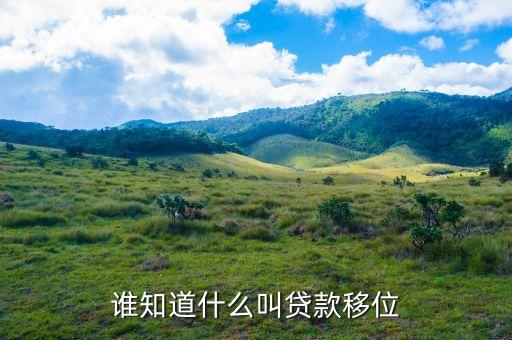 什么叫貸款移位，誰知道什么叫貸款移位