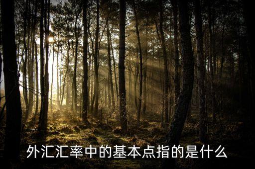 外匯基點(diǎn)是什么意思，外匯匯率中的基本點(diǎn)指的是什么