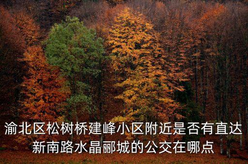 渝北區(qū)松樹橋建峰小區(qū)附近是否有直達(dá)新南路水晶酈城的公交在哪點