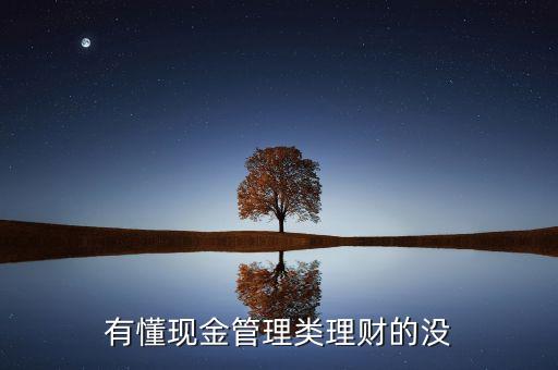 什么是現金管理類產品，簡述什么是現金管理