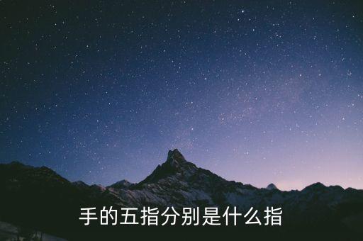 五指最后小指是什么指，五指 怎么分別