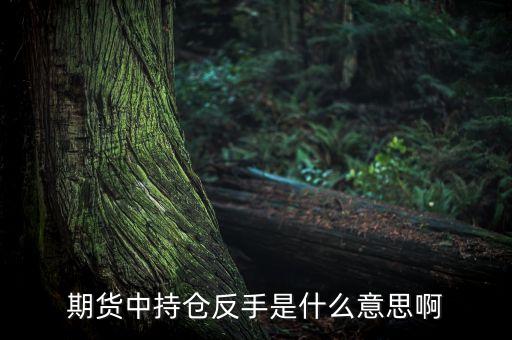 期貨中的反手什么意思，期貨中持倉(cāng)反手是什么意思啊