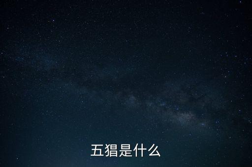 什么是創(chuàng)智5，YY上面的五項創(chuàng)始人是誰