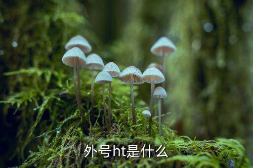 買受人號(hào)碼ht是什么，備案合同中買受人號(hào)碼HT