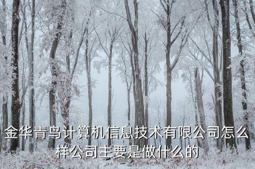 青鳥華光是做什么的，送機(jī)員是做什么的