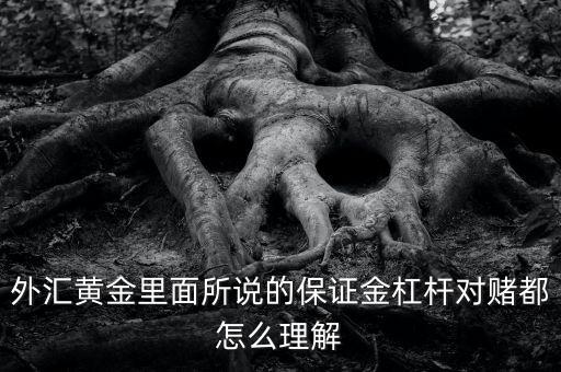 外匯黃金里面所說的保證金杠桿對(duì)賭都怎么理解