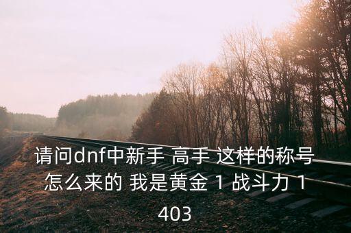 請(qǐng)問(wèn)dnf中新手 高手 這樣的稱號(hào)怎么來(lái)的 我是黃金 1 戰(zhàn)斗力 1403