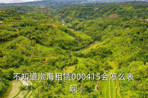 渤海租賃為什么漲的慢，不知道渤海租賃000415會怎么表現(xiàn)