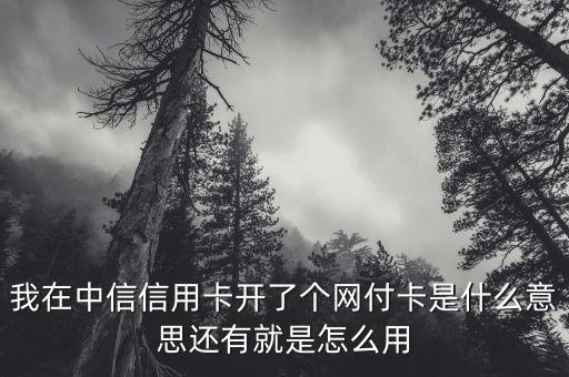 中信銀行網(wǎng)付卡是什么，中信銀行信用卡網(wǎng)付卡