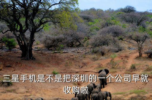 碩貝德什么時(shí)候收購深圳璇瑰，深圳哪里有收購書畫的