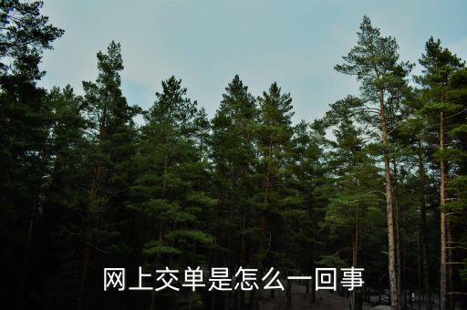 什么叫電子交單，網(wǎng)上交單是怎么一回事