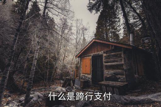 什么是跨行清算，什么叫跨行