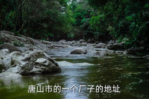 同方國(guó)芯的總部為什么在玉田縣，唐山市的一個(gè)廠子的地址