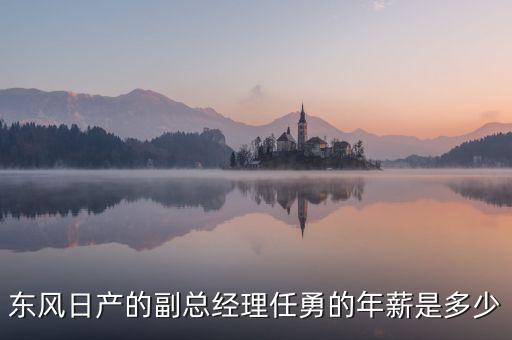 任勇為什么不是東風(fēng)公司副總，東風(fēng)日產(chǎn)任勇總經(jīng)理