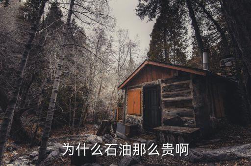 石油為什么這貴，石油為何那么貴