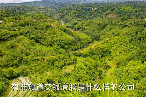 交銀康聯(lián)是什么公司，有誰知道交銀康聯(lián)是什么樣的公司