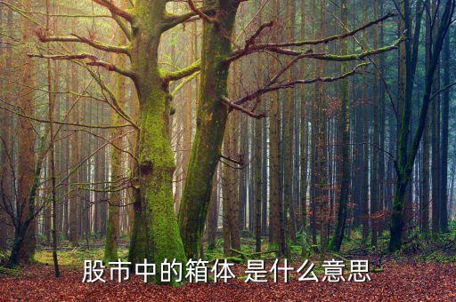 股市箱體是什么，股票的箱體指什么