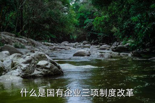 新鋼公司三項(xiàng)制度改革是什么，什么是國(guó)有企業(yè)三項(xiàng)制度改革