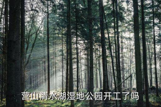 岱湖濕地什么開工，營(yíng)山清水湖濕地公園開工了嗎