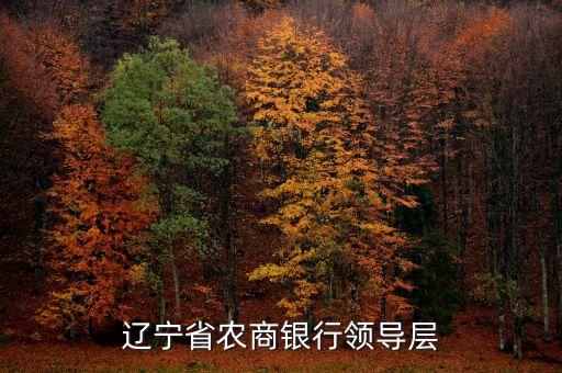 遼寧什么信用聯(lián)社理事長名單，遼寧省農村信用社聯(lián)合社現(xiàn)在叫什么名