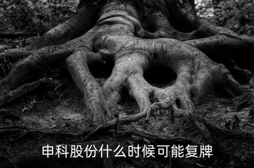 300097股什么時候復(fù)牌，申科股份什么時候可能復(fù)牌