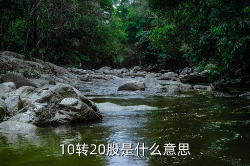 10轉(zhuǎn)增20是什么意思，股票 10派2轉(zhuǎn)增20是什么意思