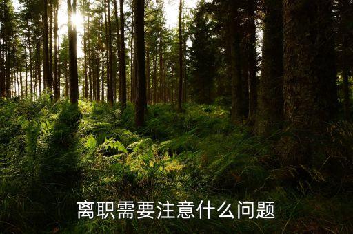 華北制藥辭職需要注意什么，辭職應(yīng)該注意些什么呢