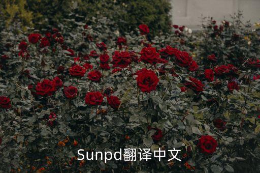 sun同上什么意思，Sunpd翻譯中文