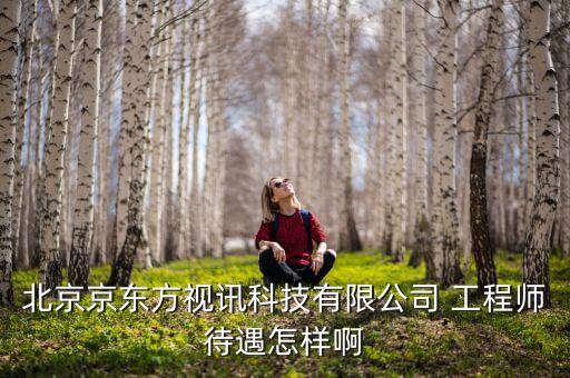 京東方視迅是什么公司，北京京東方視訊科技有限公司 工程師待遇怎樣啊