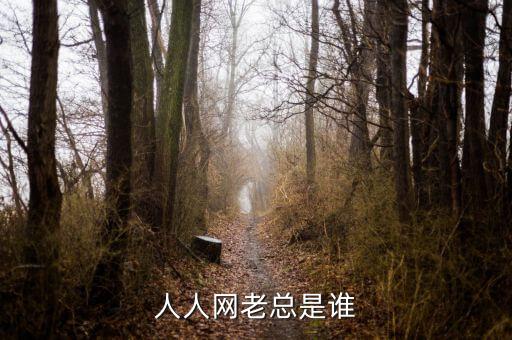 黃秋子是人人貸什么人副總裁，人人貸創(chuàng)始人是誰