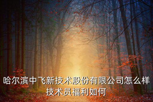 中飛股份公司做什么的，哈爾濱中飛新技術(shù)股份有限公司怎么樣技術(shù)員福利如何