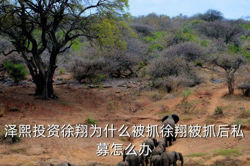 徐翔為什么會被抓，澤熙投資徐翔為什么被抓徐翔被抓后私募怎么辦
