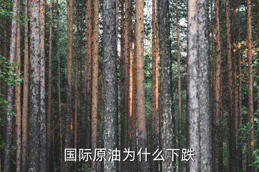國(guó)際原油為什么暴跌，造成國(guó)際油價(jià)下跌的因素有哪些