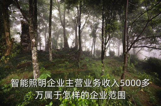 溫州宏豐主營(yíng)什么，請(qǐng)問(wèn)凈利率的公式計(jì)算是凈利潤(rùn)主營(yíng)業(yè)務(wù) 還是主營(yíng)業(yè)務(wù)還加其他也