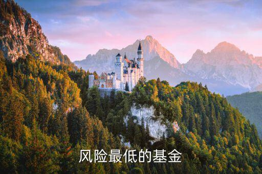 什么基金風(fēng)險(xiǎn)最低，風(fēng)險(xiǎn)最低的基金