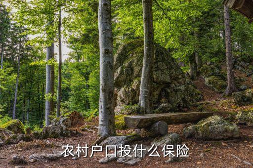 農(nóng)村買(mǎi)的保險(xiǎn)是什么保險(xiǎn)，農(nóng)民需要買(mǎi)什么保險(xiǎn)