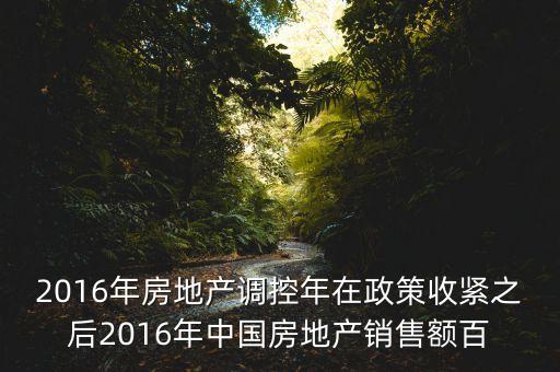 2016房市下一步還能出什么政策，2016年房地產(chǎn)調(diào)控年在政策收緊之后2016年中國(guó)房地產(chǎn)銷售額百